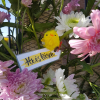 Easter 2021