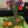 Central Estate Methodist Church  Harvest 2022