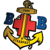 The 8th Hartlepool Boys Brigade Company